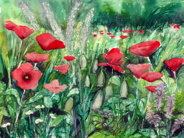 Poppies of Croatia600w