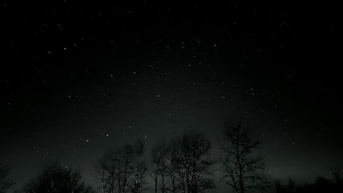 stars at Elk Island Park 2