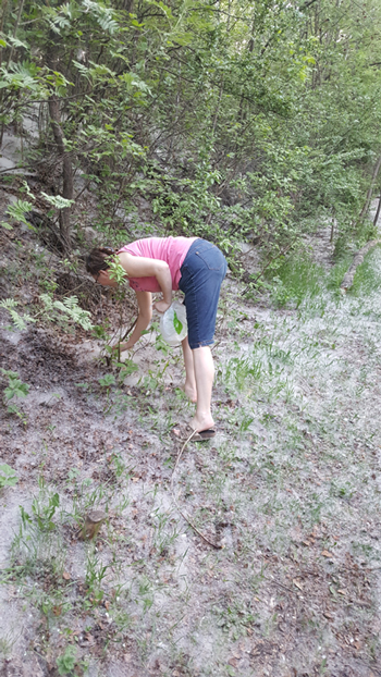 gathering fluff for papermaking