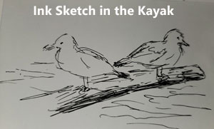 seagulls sketch kayak