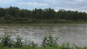 north saskatchewan2