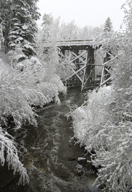 train tressel