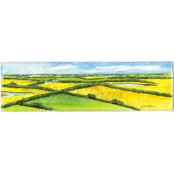 350canolafields_817x240