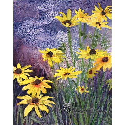 Blackeyed Susans 