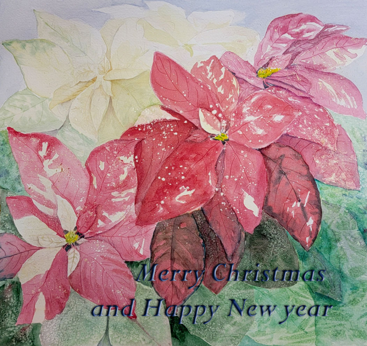 Christmas Poinsettias, 14inx15in, watercolor on Arches 140lb paper